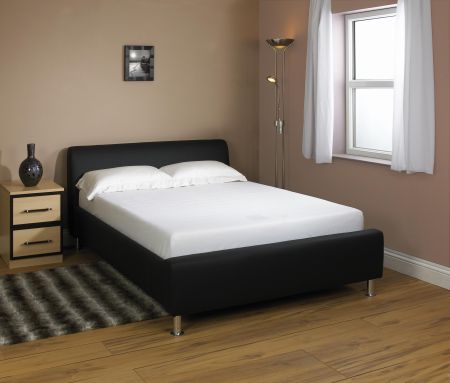 ANI BEDS Coal 1.jpg